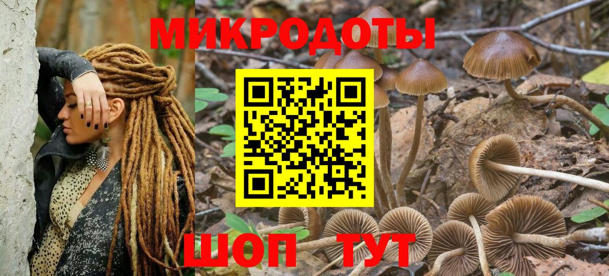 Псилоцибиновые грибы мицелий Канаш